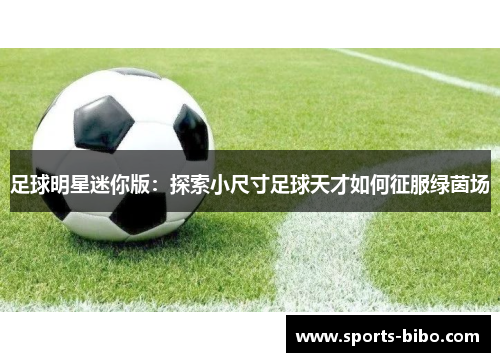 足球明星迷你版：探索小尺寸足球天才如何征服绿茵场