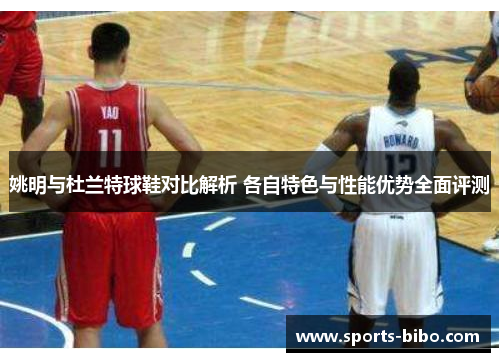 姚明与杜兰特球鞋对比解析 各自特色与性能优势全面评测