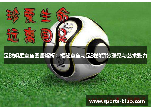 足球明星章鱼图鉴解析：揭秘章鱼与足球的奇妙联系与艺术魅力